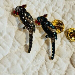 Colorful Parrot Bird Brooch Set
